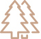 ico19